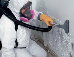  Buffalo, MN Mold Prevention & Removal Pros